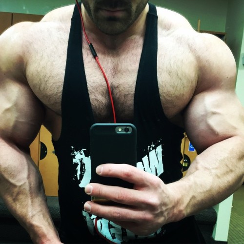 tanktotem:  keepemgrowin:  Josh just keeps getting huger…10mintwo:  slickpenguin:  Josh Halladay  HUGE  muscles, fur and glasses. yes please