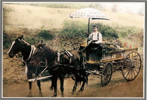 My Great Grandpa and his fruit wagon, late 19th, early 20th century.