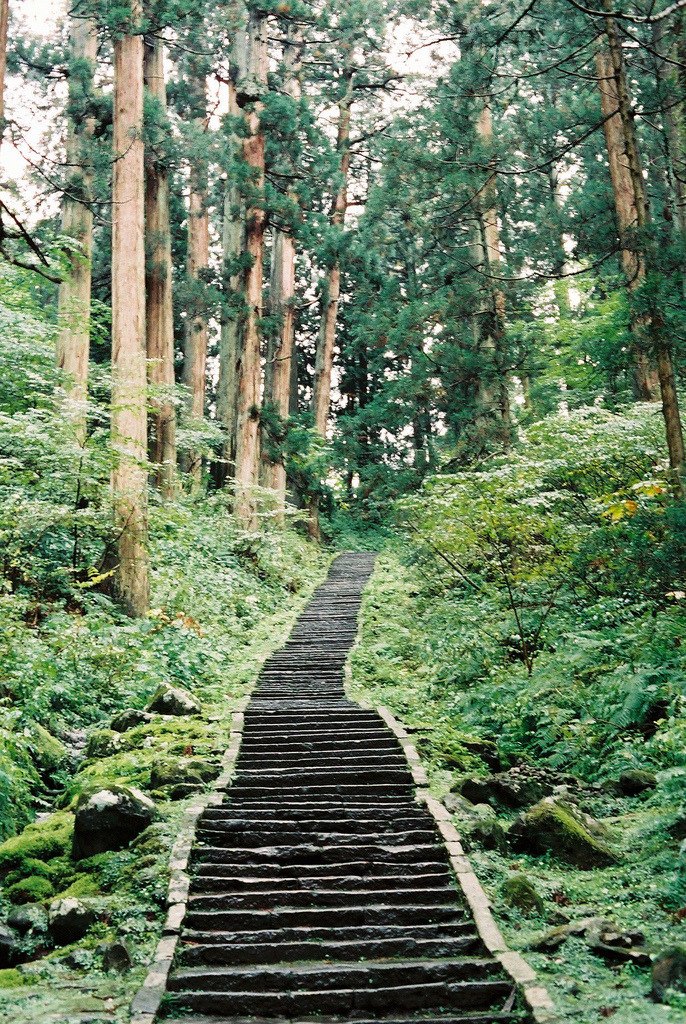 calms:  nature/vintage blog  