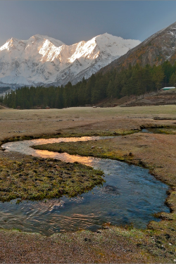 expressions-of-nature:  Creek | Alekseevich