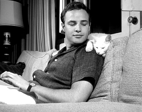 pierppasolini:  Marlon Brando and his cat, photographed by Murray Garrett, 1954. 