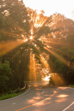 plasmatics-life:  Country Road Sunrise ~ By Eric L. Cogle 