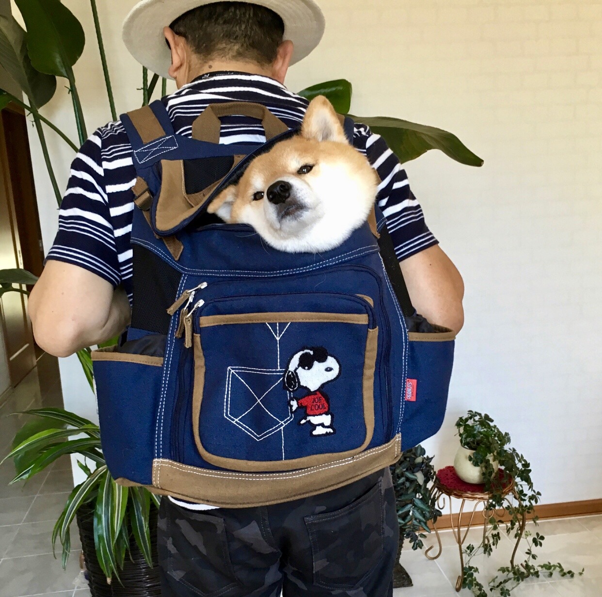 woof?