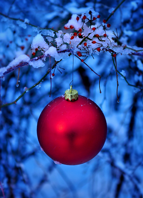santa-kisses:  ❊ ❊ christmas blog ❊ ❊