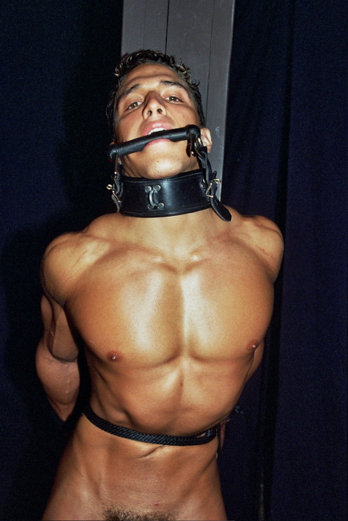 tomropesmcgurkcom:  Young Beauty Taken By #tomropesmcgurk 