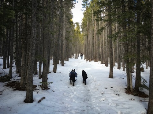 twobigears:  Onward to 2018. Here’s to more time on the trails, days in the mountains, and nights under the stars.