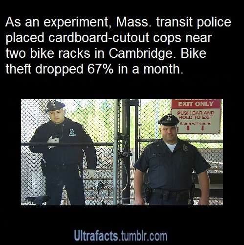 ultrafacts:     Source+more infoFollow Ultrafacts for more facts    