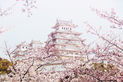 dropdeadstephxo:  Japanese temple on We Heart Ithttp://weheartit.com/entry/71876400/via/shyann1011 