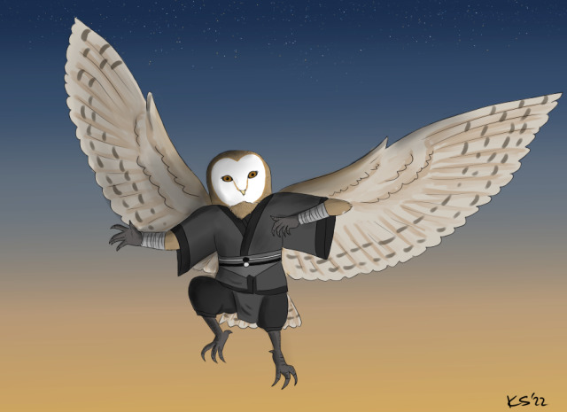 #dnd owlin on Tumblr