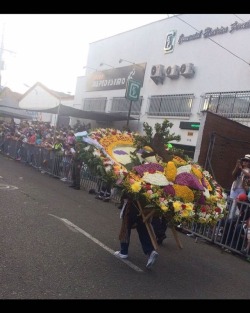 #feriadeflores2017 #desfiledelossilleteros