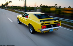 automotivated:  1970 Mustang Mach I (by Matthew C. Photography)