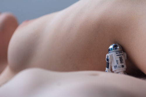 “This little droid. I think he’s searching for his former master. I’ve never seen such devotion in a