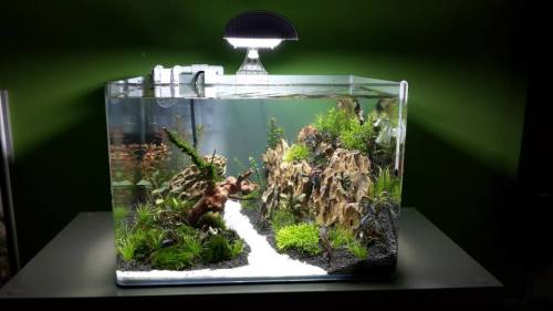 aquarium44:By Francesco Librandi 