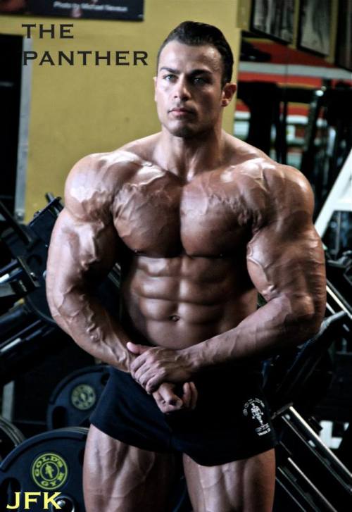 cdnlifter27:  Johan Fehd Karouani 
