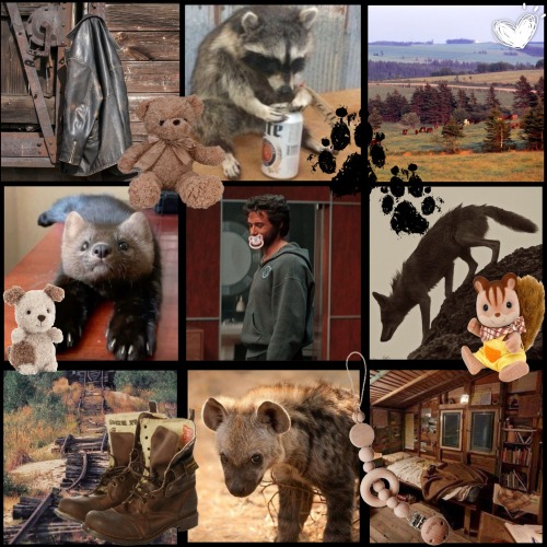 Hi Hi ! I Wanted To Try Makin A Stimboard Since I Luved Some I Saw On Here Regressor Logan Bc Hes The