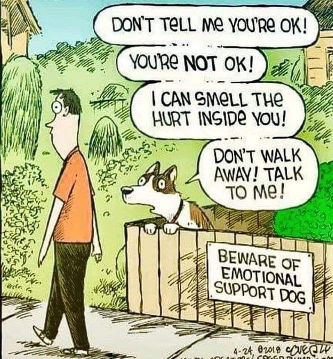 anxietyproblem: 