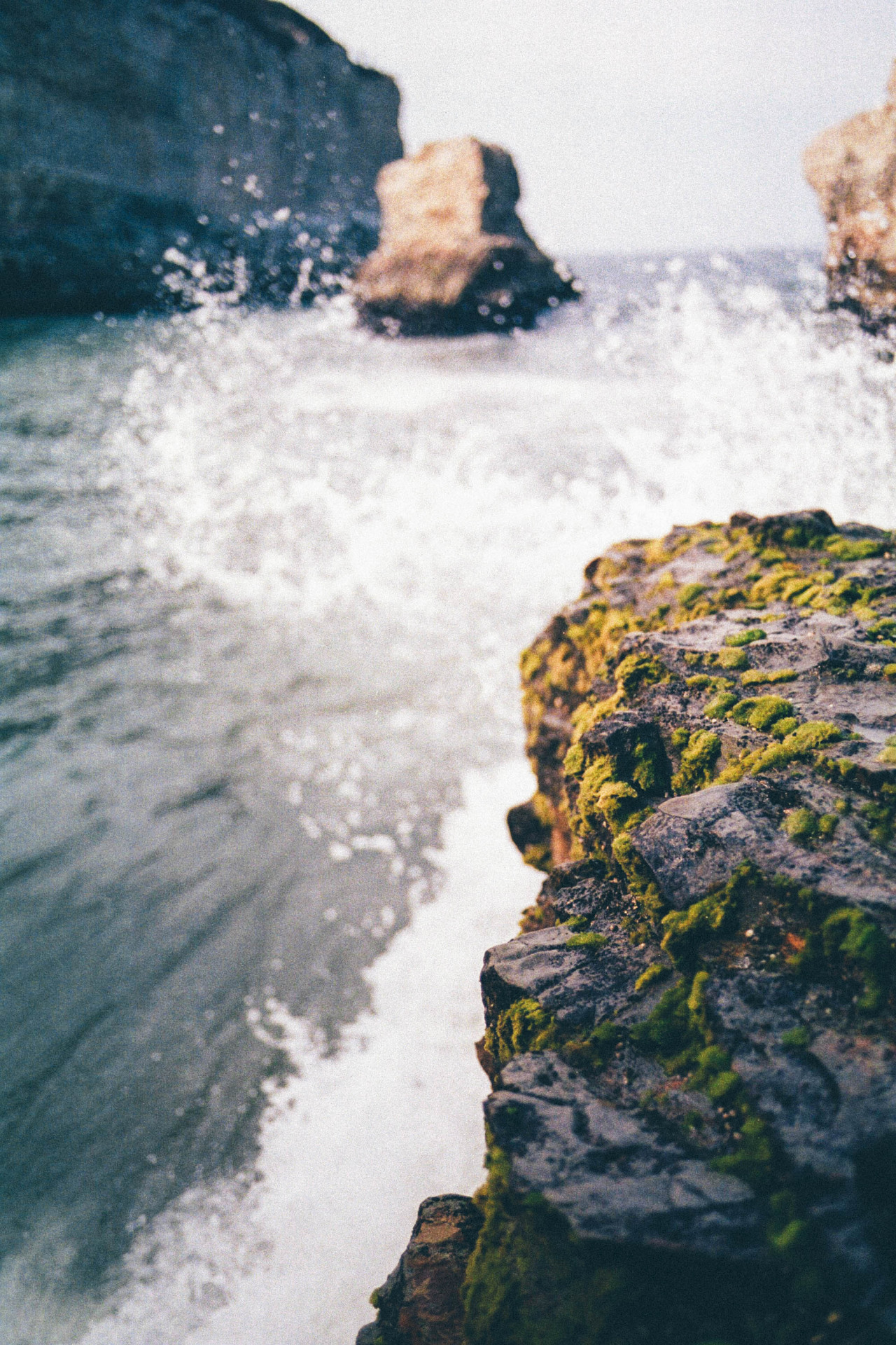 northwezt: Shark Fin Cove, Santa Cruz  Flickr | Ig: bestnorthwest 