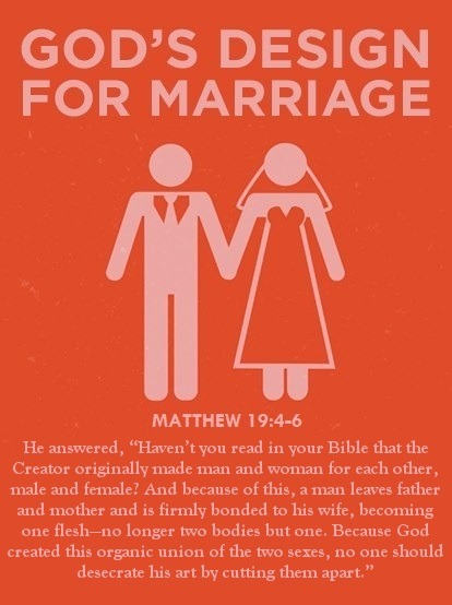 Matthew 19 4 6 MSG He Answered Haven t You Faithful In Christ