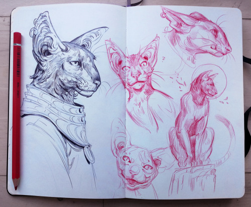 Completely random cats I drew yesterday while being angry at Netflix for canceling The Dark Crystal.