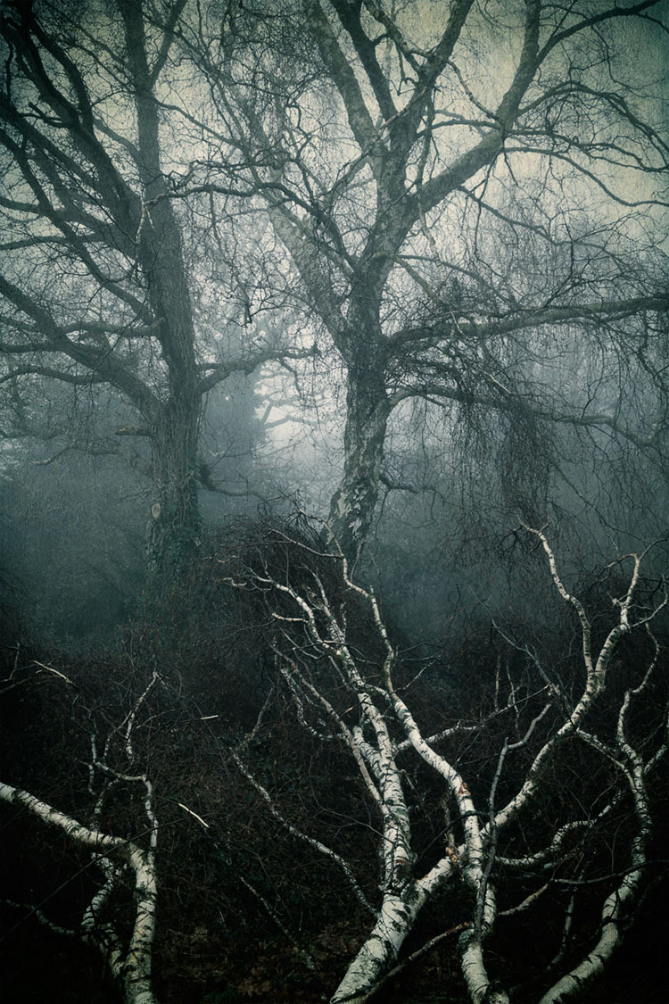 paganroots: Rising by milouvision
