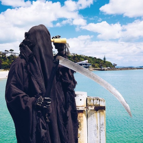 spybrarian: manticoreimaginary: New Zealand’s new water safety mascot is amazing and his insta