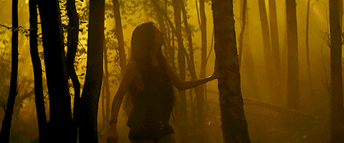 neillblomkamp:Mandy (2018) Directed by Panos Cosmatos