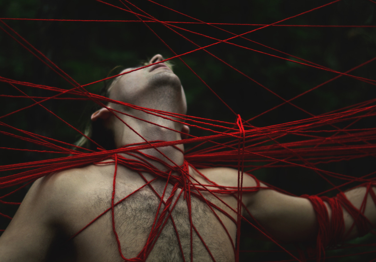 vanished:  Haley Harper - Untitled 