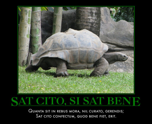 Sat Cito, Si Sat BeneQuanta sit in rebus mora, nil curato, gerendis;Sat cito confectum, quod bene fi