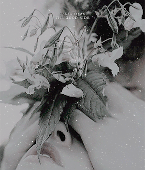i’m sure we’ll meet in the spring.