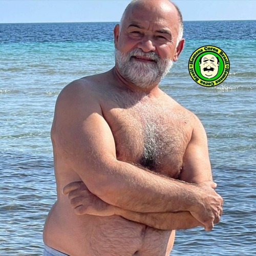 lenaldo23: #bear #bears #beard #bearded #beargay #bearlove #stockybears #hairyman #gay #gordos #gayb