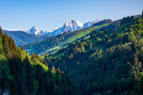 Mountain Summer by Bernd Kranabetter
