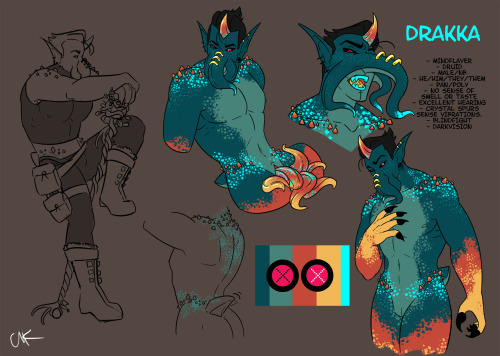 bloodsugardaddy:  Drakka’s my new character!