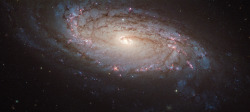 just&ndash;space:  Spotting a supernova in NGC 5806  js