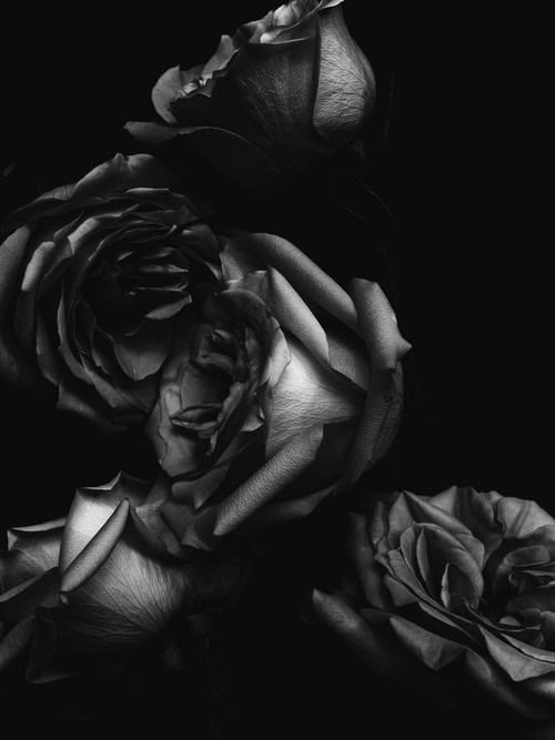 twopigment:  Unknown