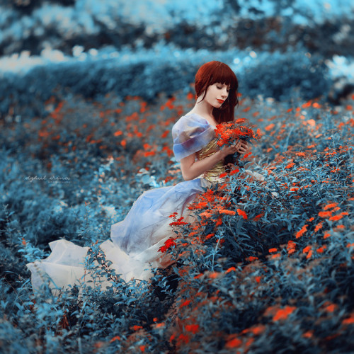 imickeyd:  by Irina Dzhul