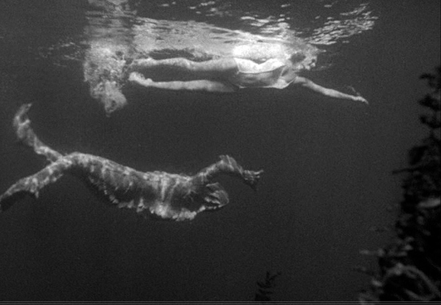 sweetheartsandcharacters:The beautiful cinematography of Universal horror films.