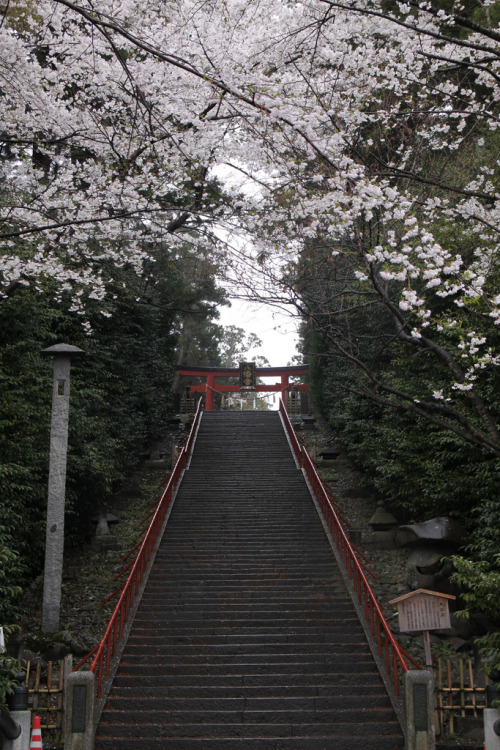 dihydrate: 大崎八幡神社 (by air-time)