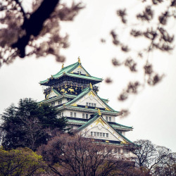 minuga-hana:Osaka castle from the Nishinomaru