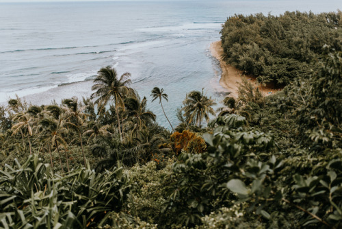 drxgonfly: Hawaii | Kauai (by Justyna Zduńczyk)