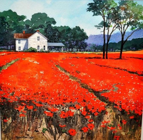 hitku: Poppie Fields by Robert W Cook[image ID: a watercolor painting depicting rows of bright sca