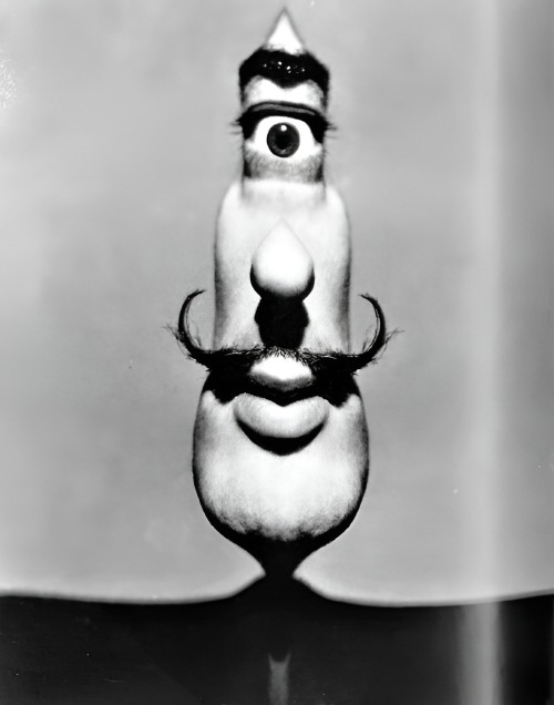 Philippe Halsman - One-Eyed Dali, 1954.