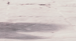 lexiegrey:You have bewitched me, body and soul, and I love, I love, I love you. I never wish to be p