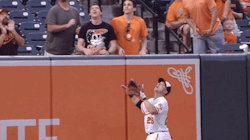 Gfbaseball:  Steve Pearce Robs Brandon Guyer Of A Home Run And Chris Archer And Kevin