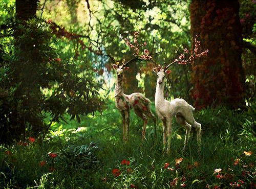 cinematv: Top 10 Favorite Movies ➞ Shay (@dianaxprince) ↳ #1 ANNIHILATION   dir.