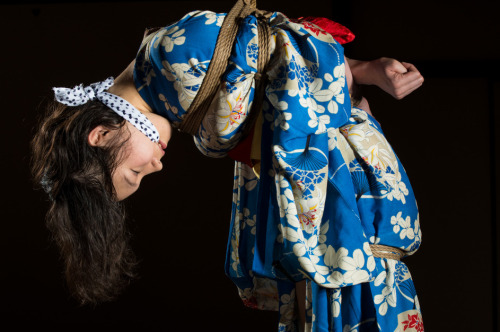 thevertigonetwork:Kinbaku Kasumi HouraiModel AkariPhoto Yasui