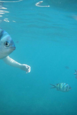 copano:  10 fotografías que fueron tomadas