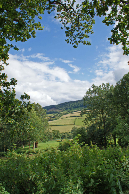 The view from Grosmont Castle (by sacipere)