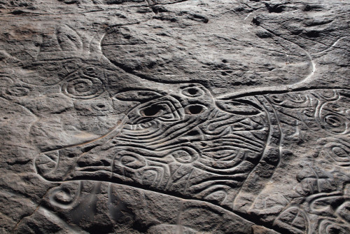 historyarchaeologyartefacts: Detail of a petroglyph depicting a bubalus anticus, eponymous of the Bu