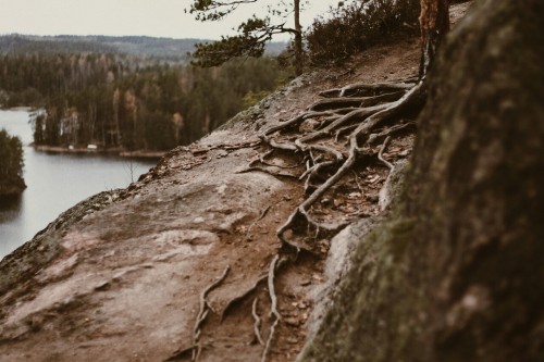 oonajuliar: My autumn moments in the woods, by the river and lakes. This is my Finland. Kymi the riv