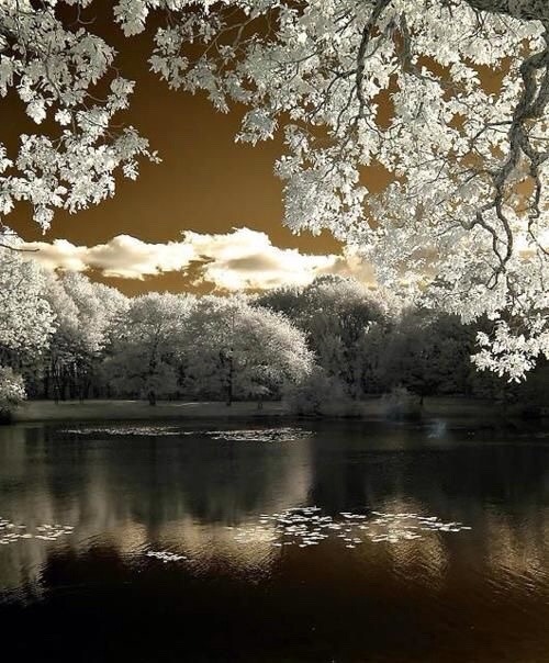 The meanderings of an open mind and heart...